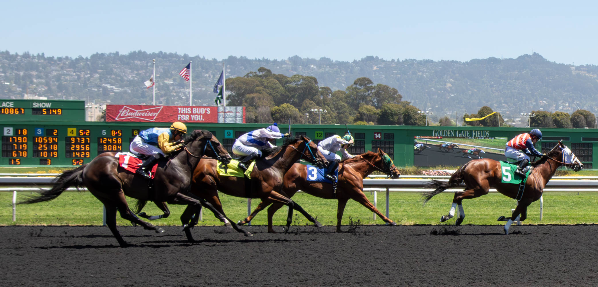 Horse Racing